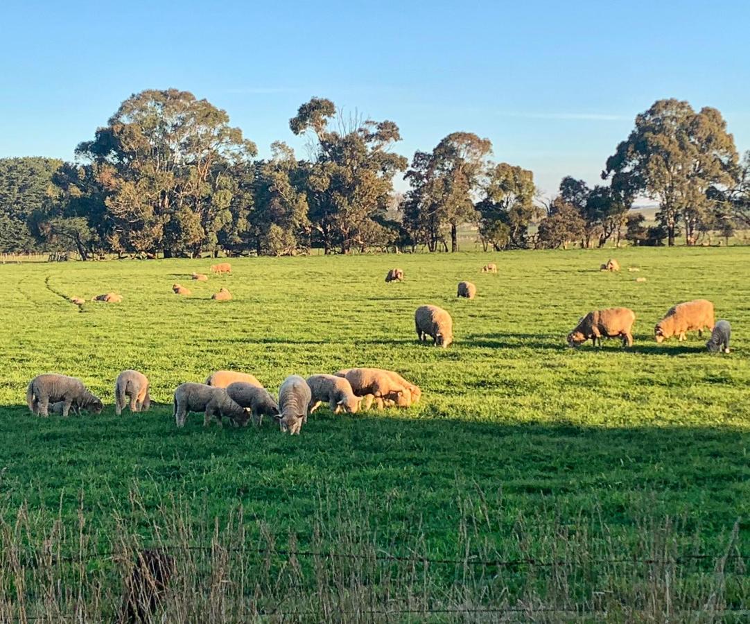 The Lancefield Lodge Lance Field Exterior foto